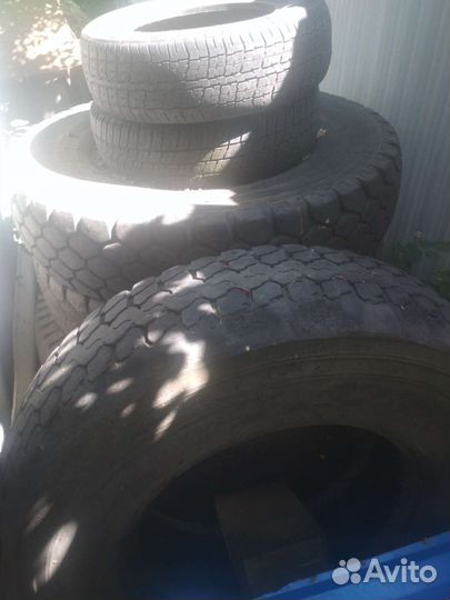 Accelera 651 23.1/8 R6