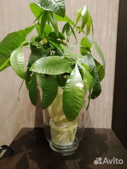 Ваза подсвечник стекло IKEA