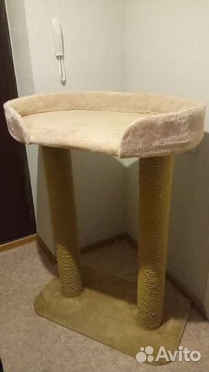 Когтеточка