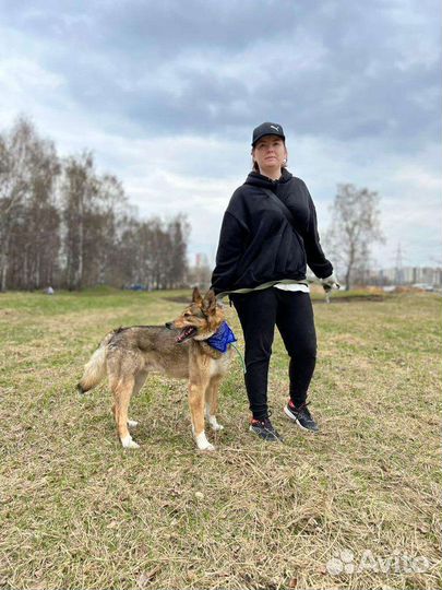 Собака Стёпа надеется на вас