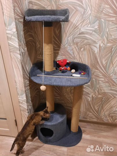 Домик для кошки