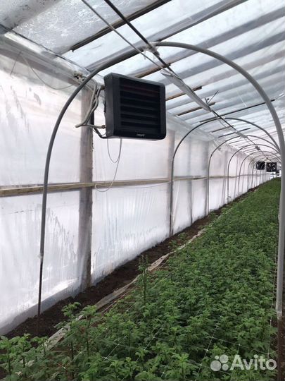 Тепловентилятор водяной для теплицы