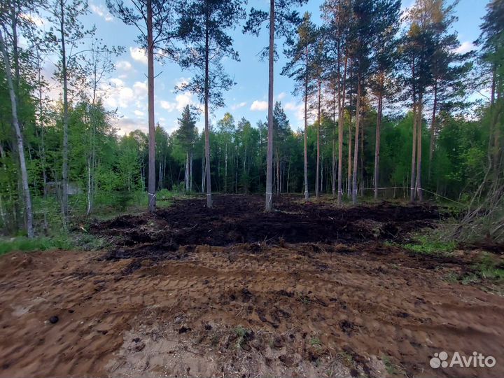 Расчистка участка. Отсыпка. Удаление камней