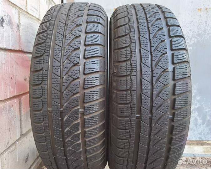 Dunlop SP Winter Response 195/65 R15 91T