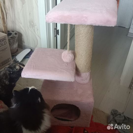 Домик для кошки