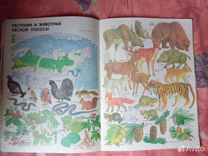 Атлас Мир и человек