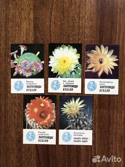 Календарики с животными и природой