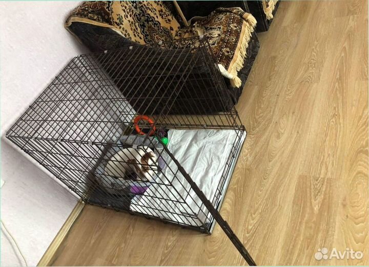 Клетка для собак №6