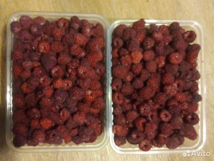 Малина и саженцы