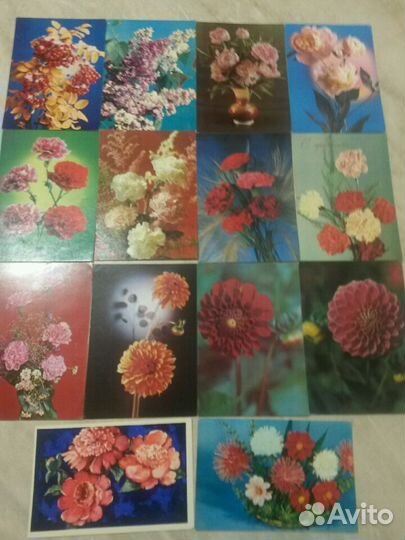 Цветы 1966-70гг