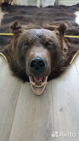 Шкура медведя имитация