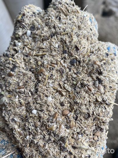 Дробленое зерно