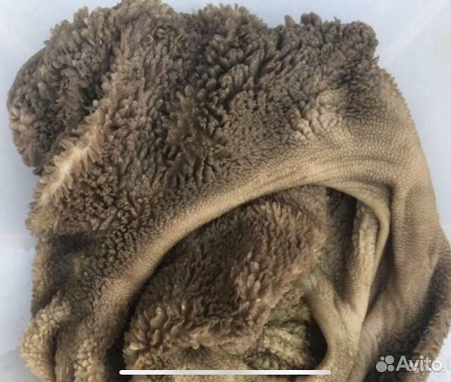 Продукты для собак