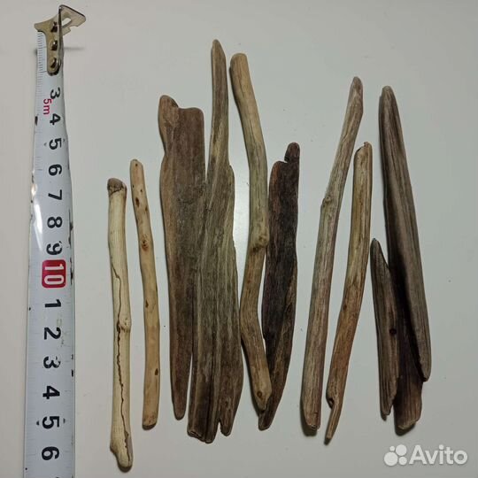 Дрифтвуд Черного моря