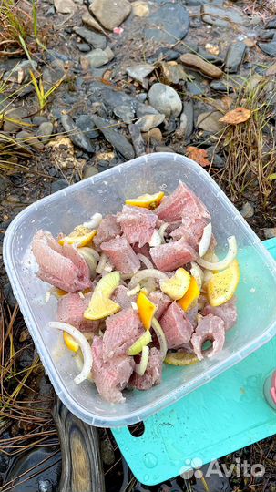 Рыболовный тур