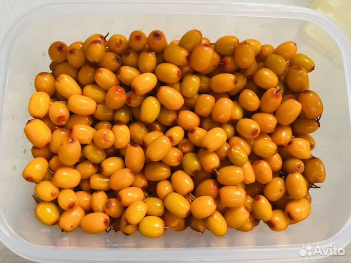 Ягода, Облепиха