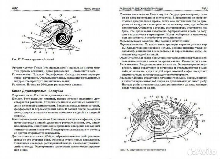 Справочник по биологии торг