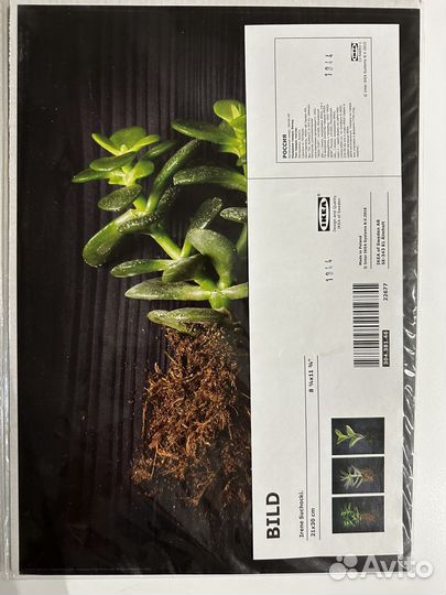 Картины и постеры IKEA Bild