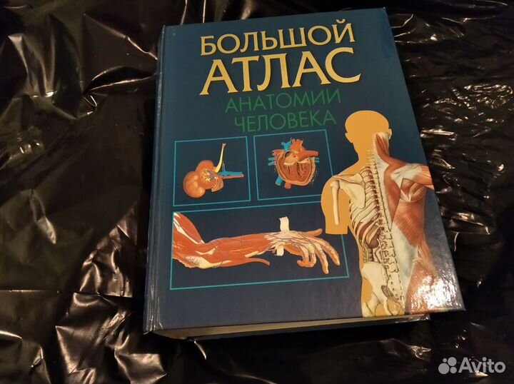 Большой атлас анатомии человека