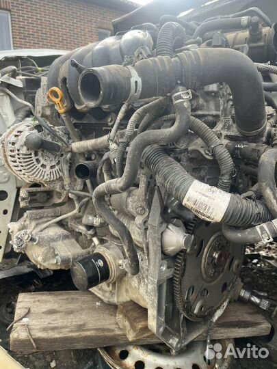 Двигатель Nissan Sentra B17 HR16