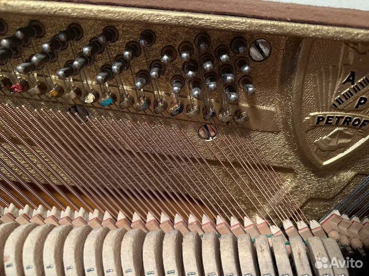 Фортепиано petrof