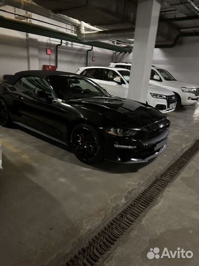 Ford Mustang 2.3 AT, 2019, 47 300 км