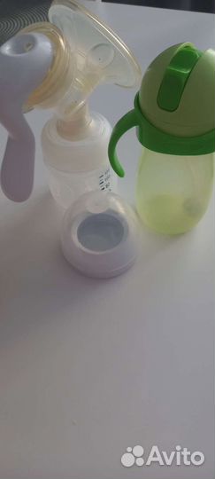 Молокоотсос