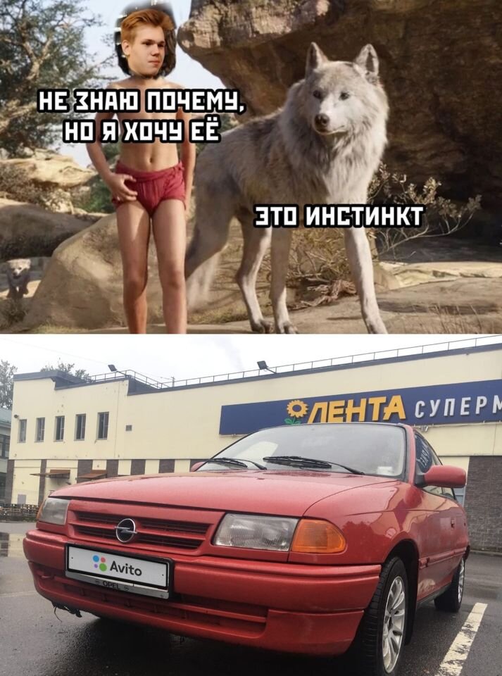 Opel Astra: фото владельца