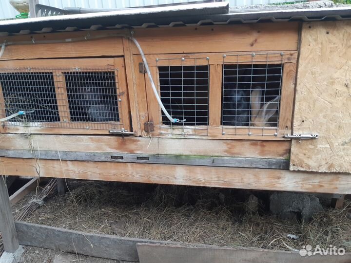 Клетка для кроликов