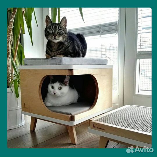 Передержка домашних питомцев