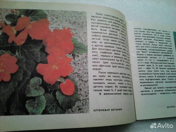 Цветоводство.Орхидеи. Букеты