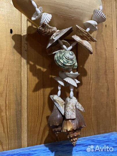 Декор из ракушек