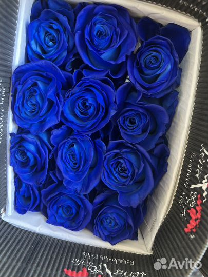 Синие розы