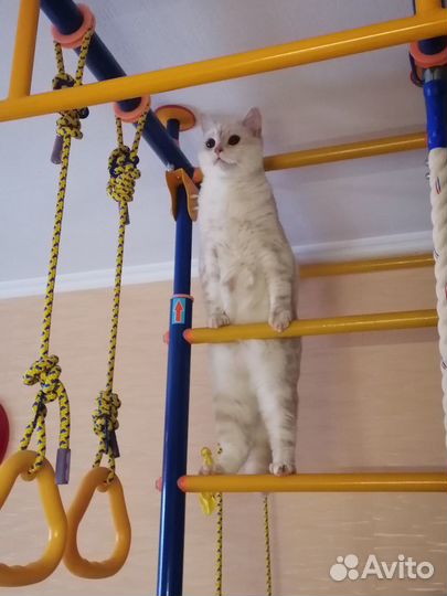 Продам спортивный комплекс