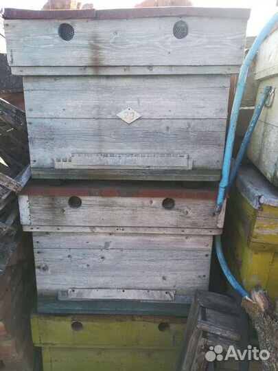 Пчелиные ульи