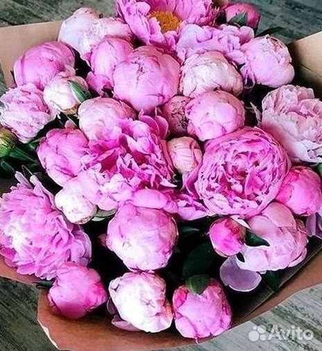 Пионы Букет пионов