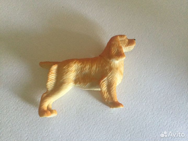 Завры дино завры