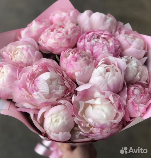 Пионы, букет цветов, пионы опт
