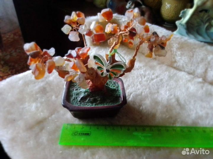 Дерево бонсай