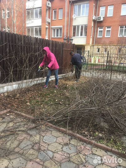 Аренда измельчителя веток садового