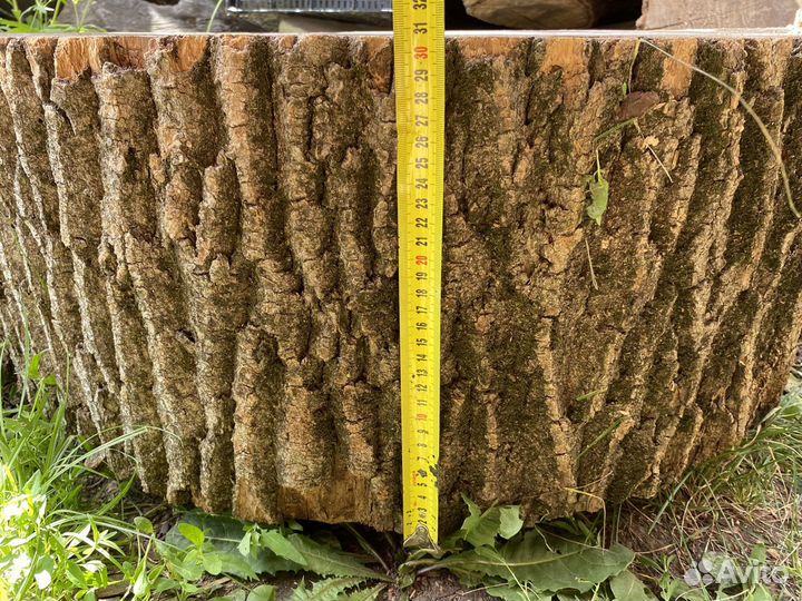 Спил (слэб) ясеня