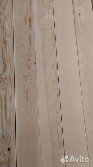 Планкен прямой, ангарская сосна, сорт прима