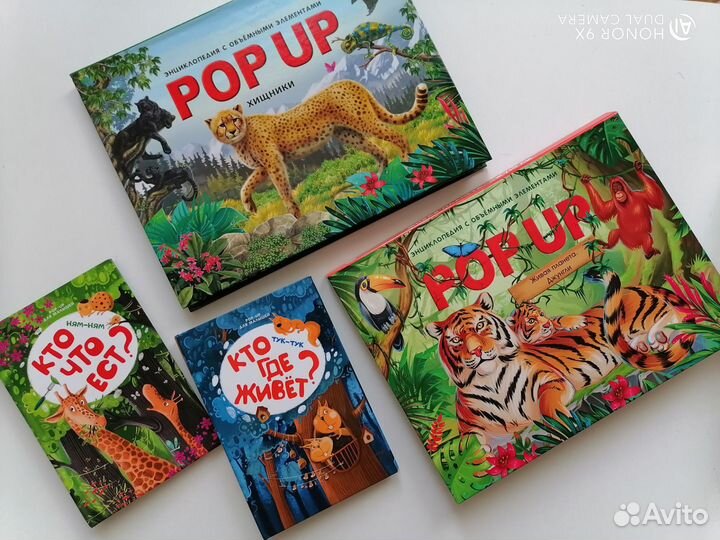Книги панорамы pop - up