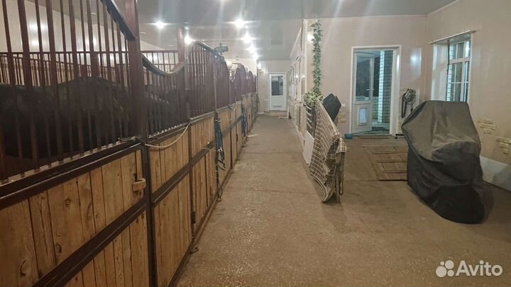 Работа с лошадьми конюх берейтор