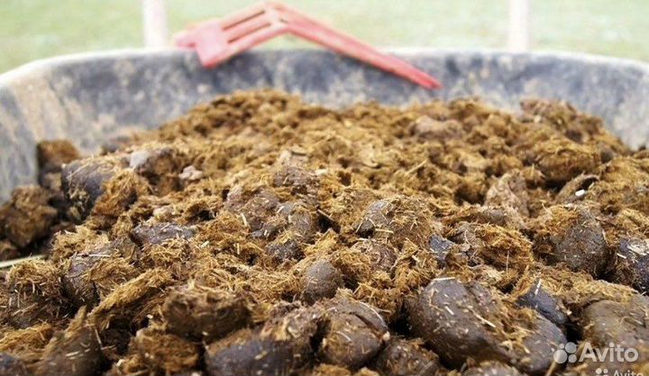 Навоз, торф, щебень