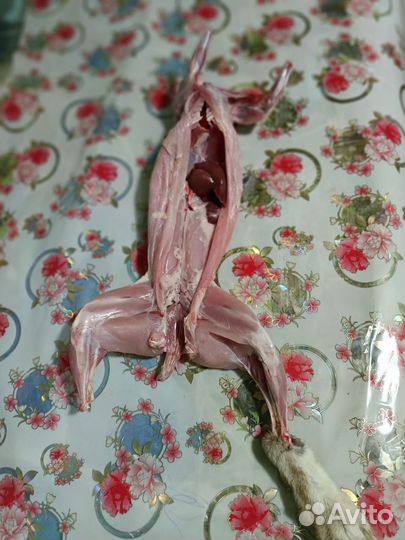 Мясо кролика