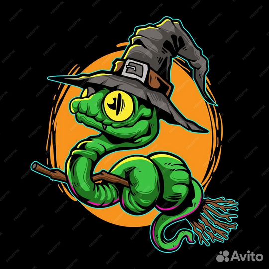 Фотосессия со Змеями (аренда)