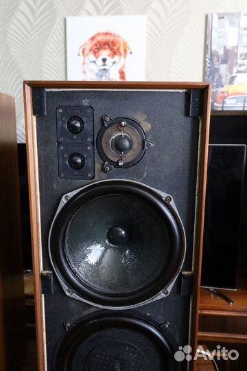 Celestion Ditton 25 1970