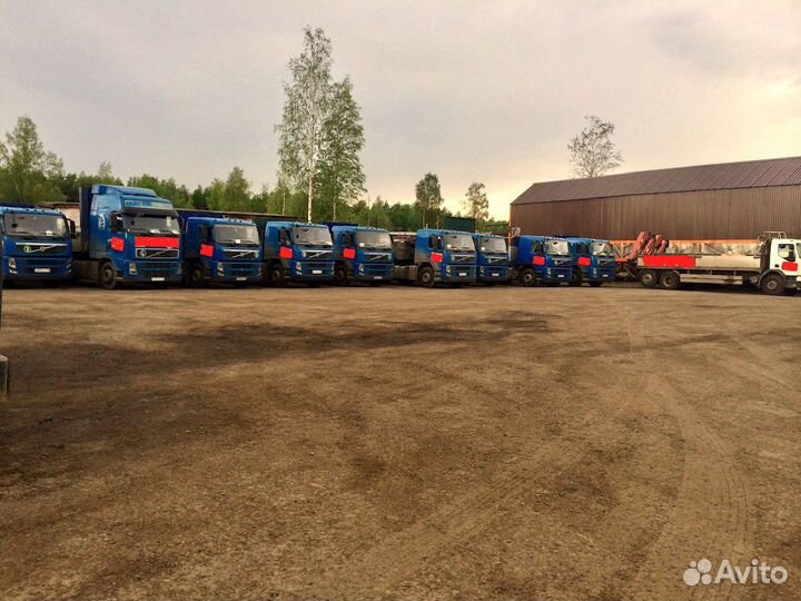 Менеджер логист по грузоперевозкам