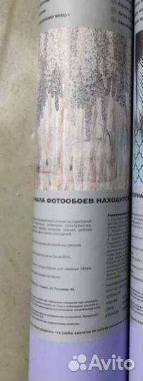 Фотообои флизелиновые